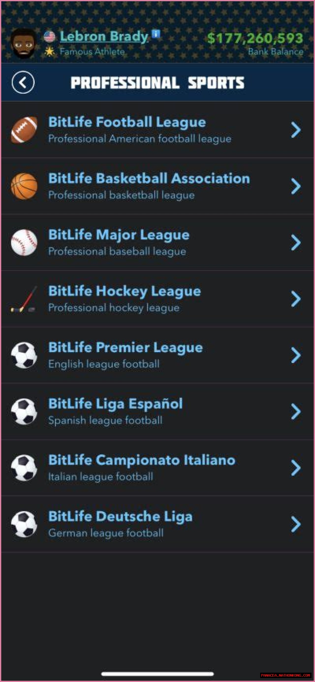 All professional sports in BitLife